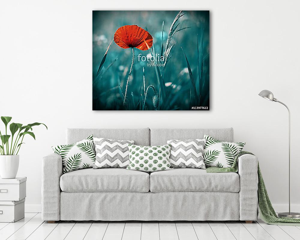 Csodálatos pipacsmező. Nyári virágok. (vászonkép) - vászonkép, falikép otthonra és irodába