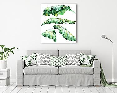 Tropical watercolor leaves set (vászonkép) - vászonkép, falikép otthonra és irodába