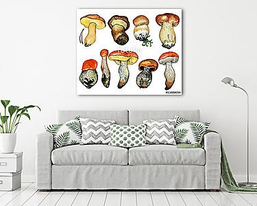 Wild mushrooms. Hand drawn watercolor painting isolated over whi (vászonkép) - vászonkép, falikép otthonra és irodába