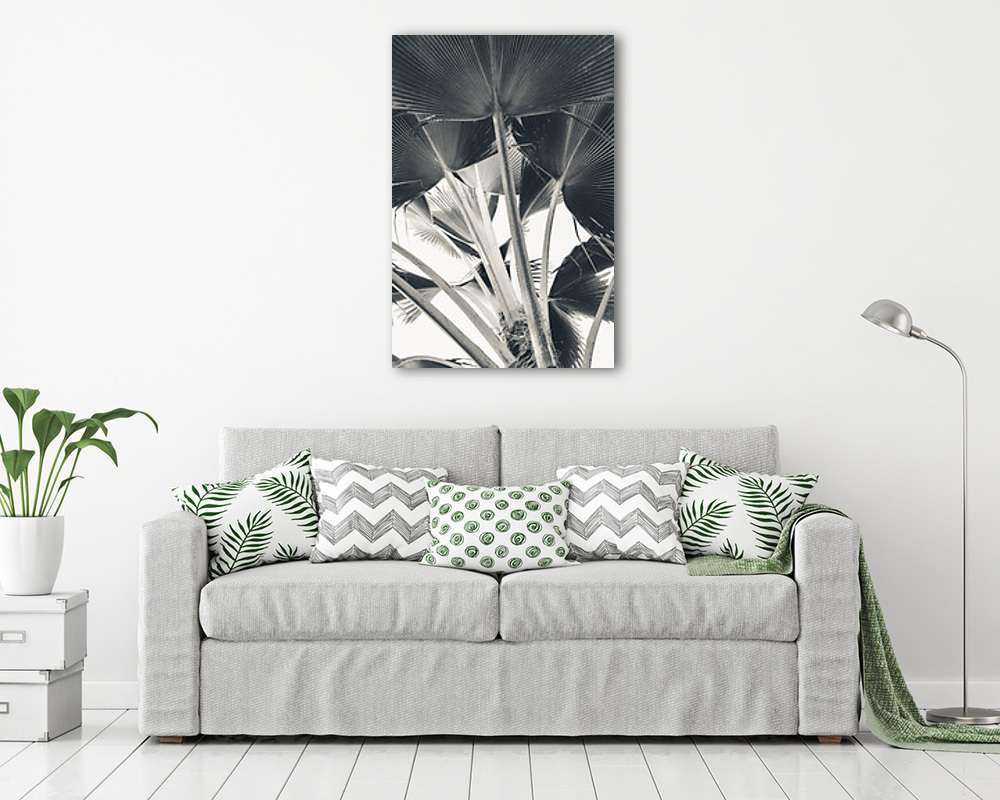 Pálmalevelek  - vászonkép, falikép vásárlás Pálmalevelek  (keretezett kép) - vászonkép, falikép otthonra és irodába