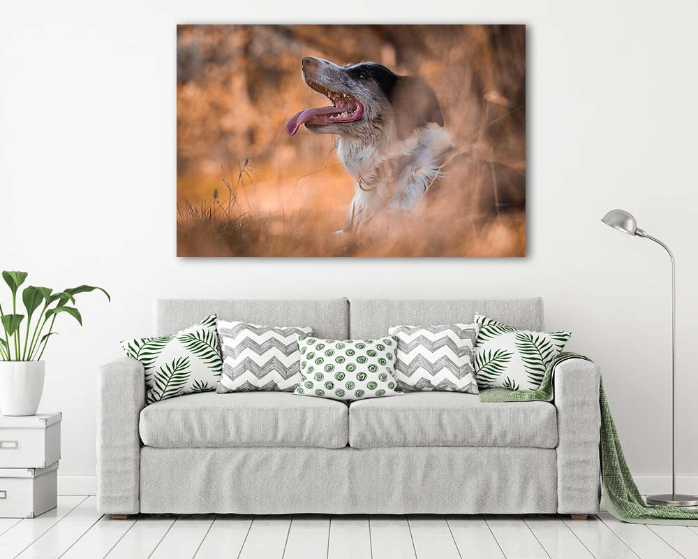 Kutya profil  (poszter) - vászonkép, falikép otthonra és irodába