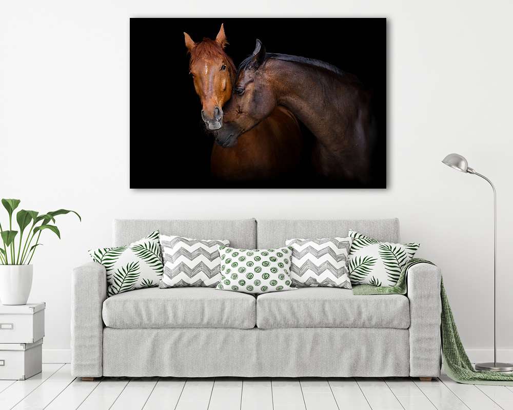 Két ló portré fekete háttéren. Lovak szerelmes - vászonkép, falikép vásárlás Két ló portré fekete háttéren. Lovak szerelmes (vászonkép) - vászonkép, falikép otthonra és irodába