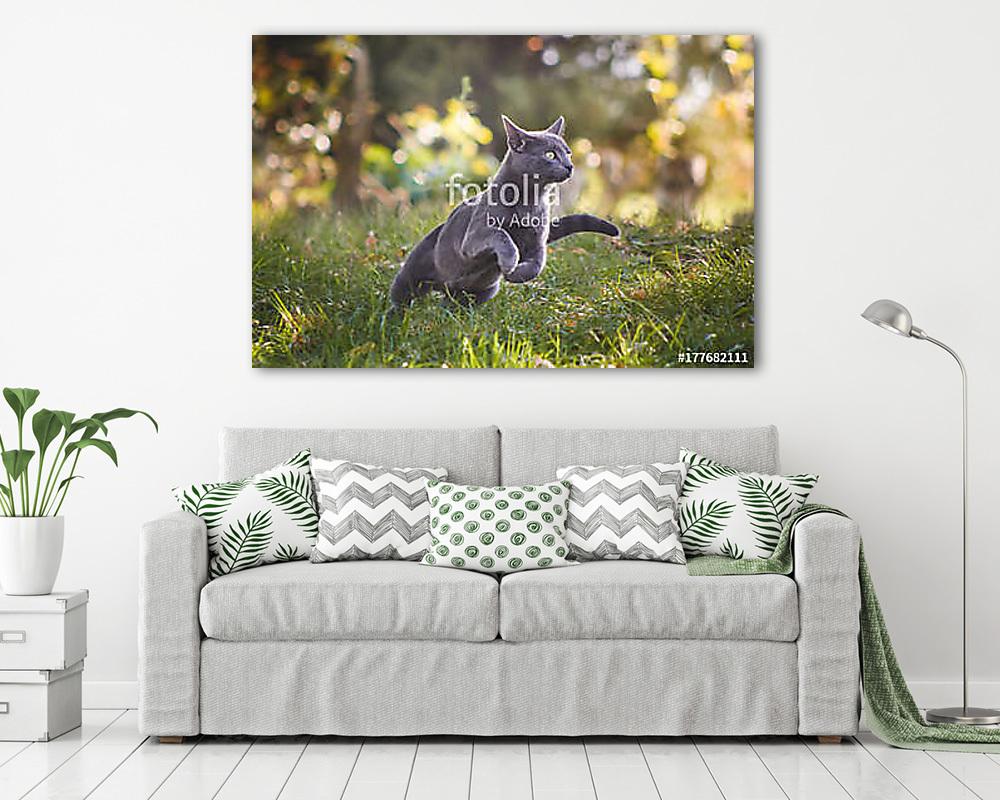 Orosz kék macska bevetésen (bögre) - vászonkép, falikép otthonra és irodába