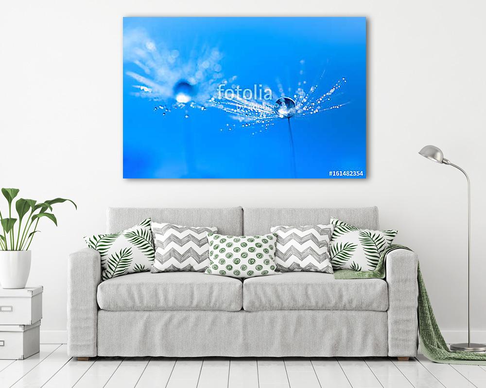 Macro of dandelion with water drop. Dandelion on a beautiful tur (fotótapéta) - vászonkép, falikép otthonra és irodába
