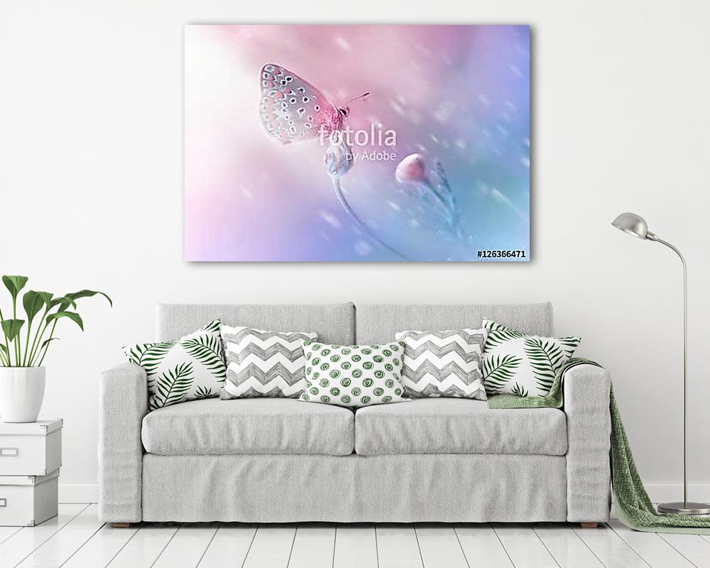 Beautiful delicate elegant butterfly on a flower with a soft foc (vászonkép) - vászonkép, falikép otthonra és irodába