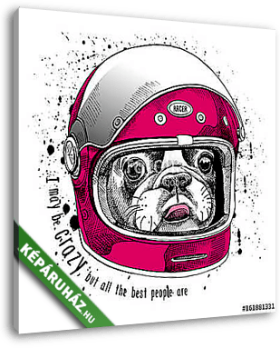 French Bulldog in a modern racer helmet. Vector illustration. - vászonkép 3D látványterv