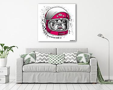 French Bulldog in a modern racer helmet. Vector illustration. (vászonkép) - vászonkép, falikép otthonra és irodába