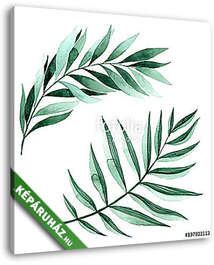 Watercolor illustration of fern leaves - vászonkép 3D látványterv