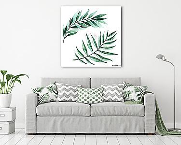 Watercolor illustration of fern leaves (vászonkép) - vászonkép, falikép otthonra és irodába