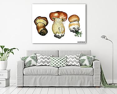 Wild mushrooms. Hand drawn watercolor painting isolated over whi (vászonkép) - vászonkép, falikép otthonra és irodába