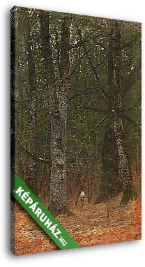 Ember a fák között - vászonkép 3D látványterv