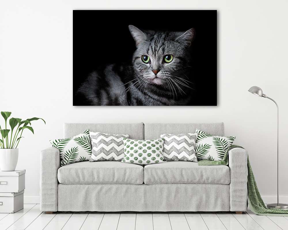 Macska portré  (vászonkép) - vászonkép, falikép otthonra és irodába