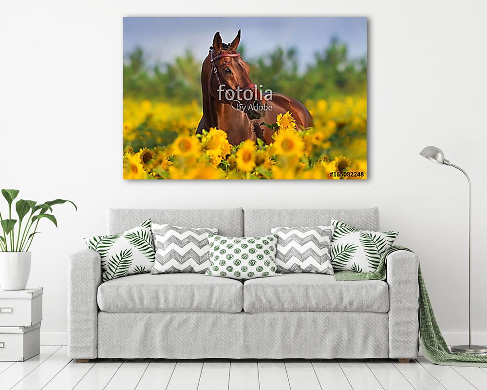 Öböl ló a napraforgóban - vászonkép, falikép vásárlás Öböl ló a napraforgóban (vászonkép) - vászonkép, falikép otthonra és irodába