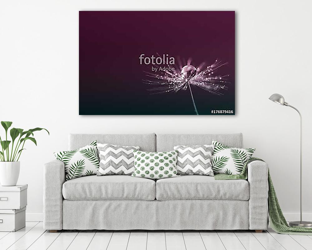 Beautiful stylish macro with dandelion and drops of dew on a dar (poszter) - vászonkép, falikép otthonra és irodába