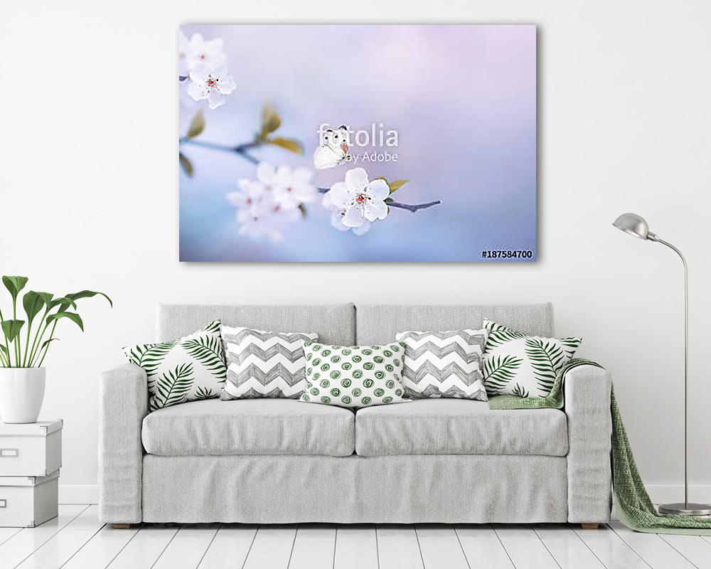 Beautiful white butterfly and branch of blossoming cherry in spr (vászonkép) - vászonkép, falikép otthonra és irodába