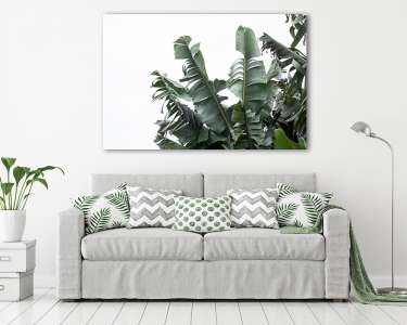 Banánfa levelek - fototapéta minta (vászonkép) - vászonkép, falikép otthonra és irodába