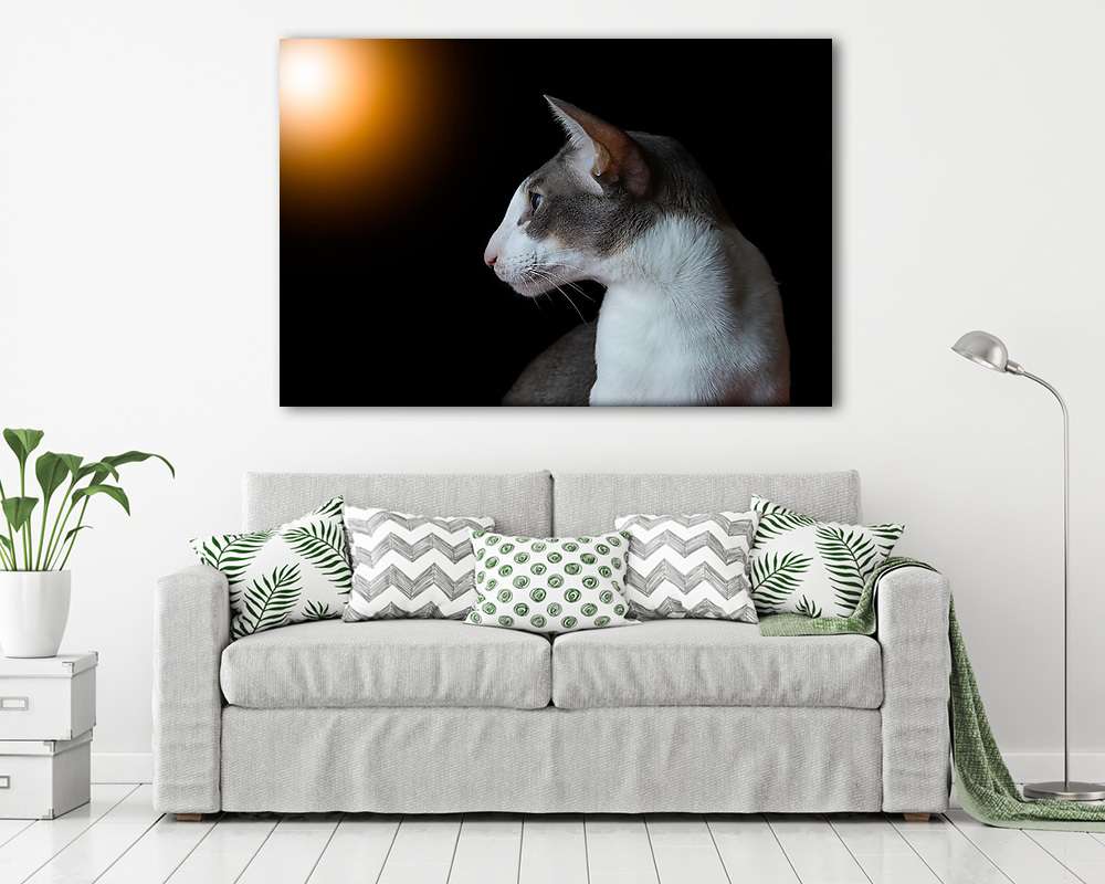  Macska profil fekete háttérben (többrészes kép) - vászonkép, falikép otthonra és irodába