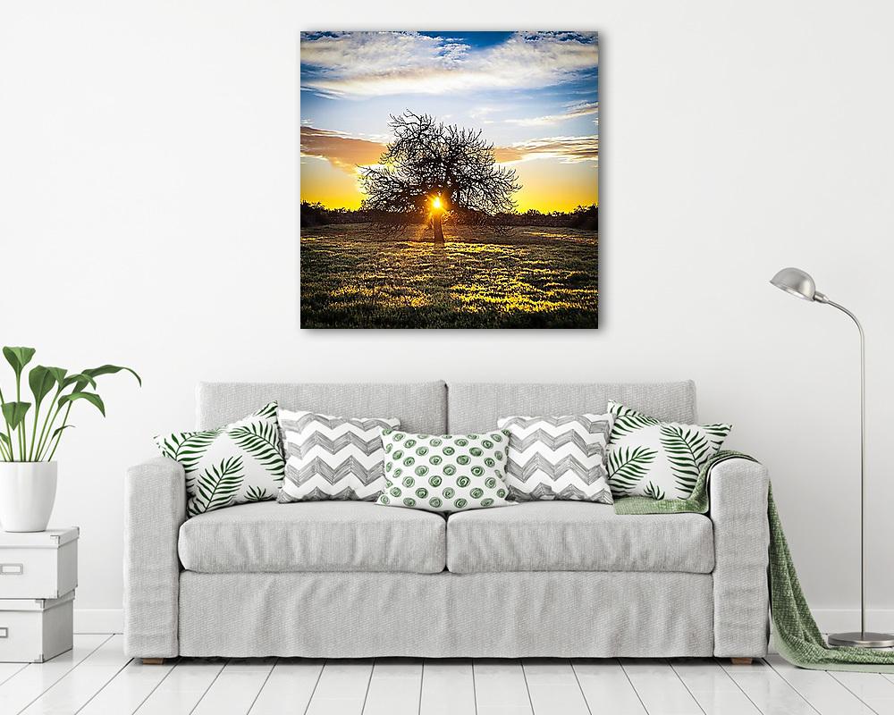 Magányos fa, napkeltében (fotótapéta) - vászonkép, falikép otthonra és irodába