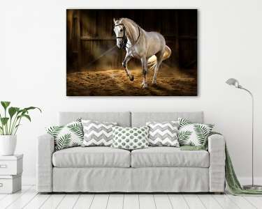 Fehér ló istállóban, napsugár és por (vászonkép) - vászonkép, falikép otthonra és irodába