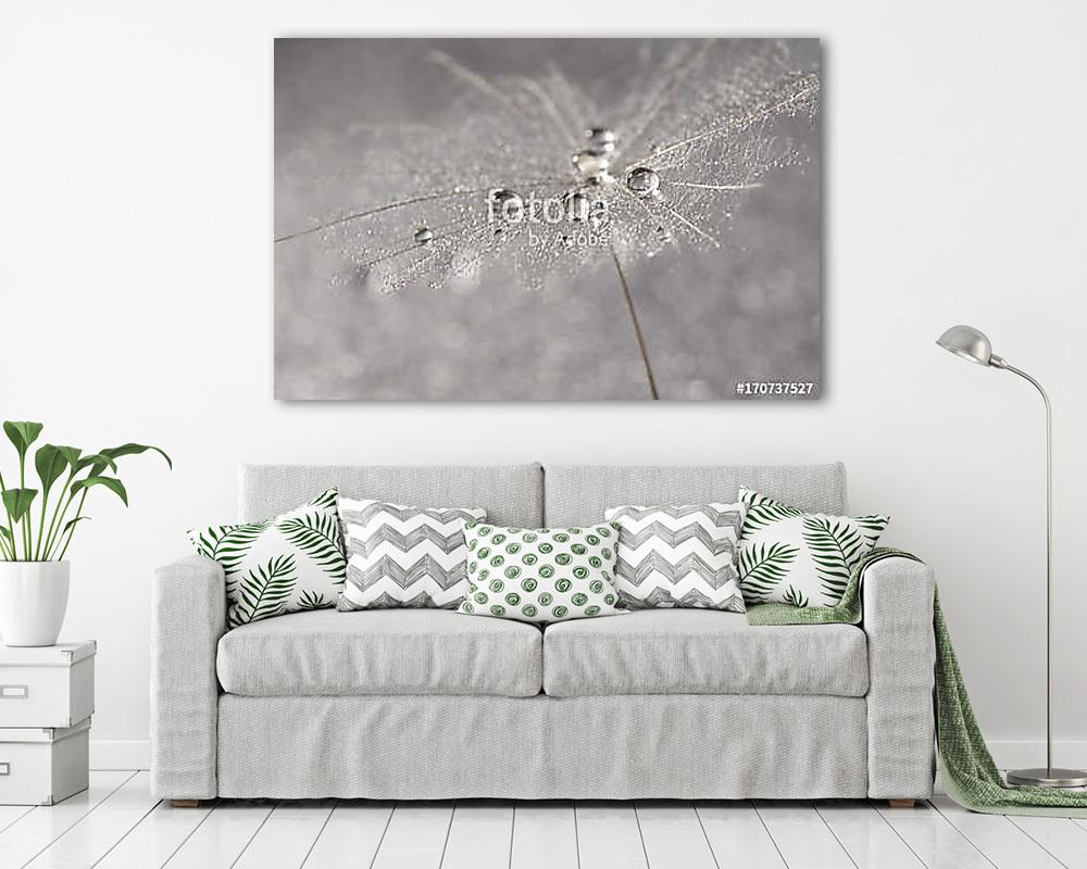 Dandelion close-up with silver drops of dew. Selective focus (keretezett kép) - vászonkép, falikép otthonra és irodába