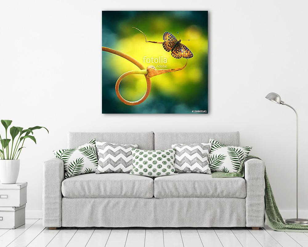 Gold butterfly on nature to curl plant spring summer on a beauti (fotótapéta) - vászonkép, falikép otthonra és irodába
