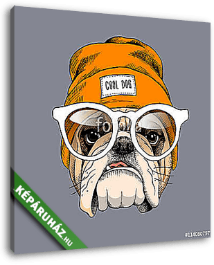 Bulldog portrait in a hipster hat and with glasses. Vector illus - vászonkép 3D látványterv