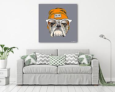 Bulldog portrait in a hipster hat and with glasses. Vector illus (vászonkép) - vászonkép, falikép otthonra és irodába