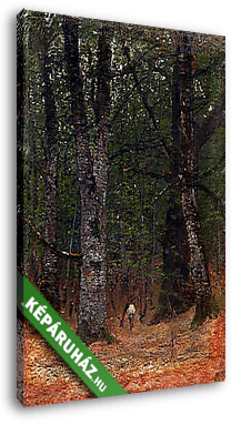 Ember a fák között (színverzió 1.) - vászonkép 3D látványterv