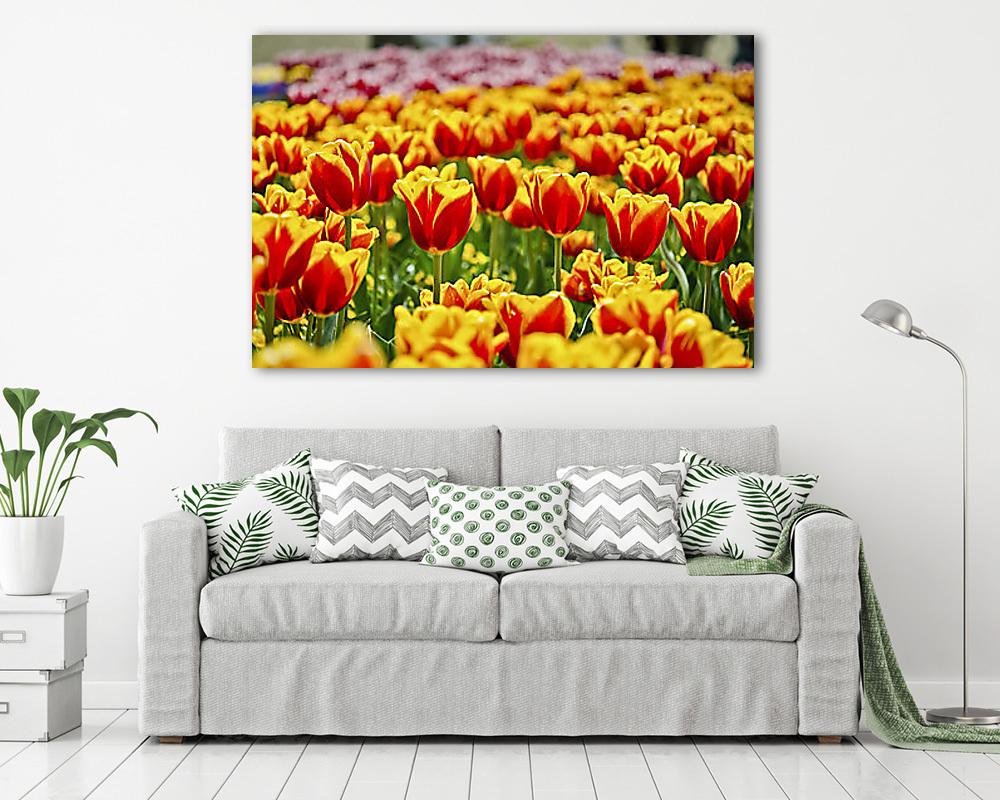 Tulipánmező (poszter) - vászonkép, falikép otthonra és irodába