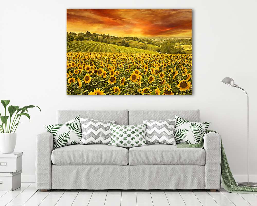 napraforgók területén az olasz hegységben naplementekor - vászonkép, falikép vásárlás napraforgók területén az olasz hegységben naplementekor (vászonkép) - vászonkép, falikép otthonra és irodába