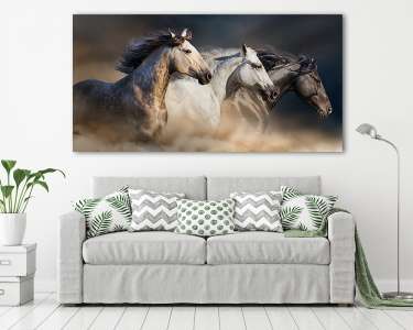 A hosszú sörény portréja a sivatagi porban galopp (vászonkép) - vászonkép, falikép otthonra és irodába