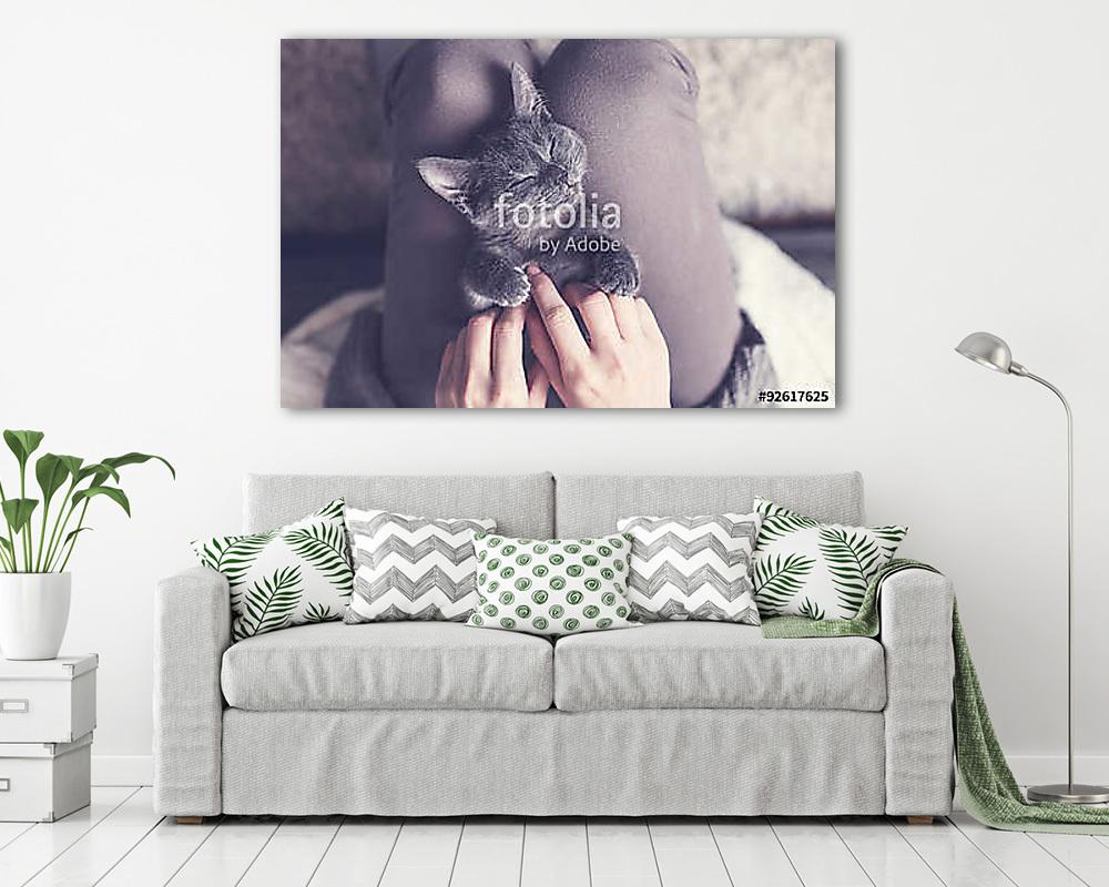 Édes cica pihen (vászonkép) - vászonkép, falikép otthonra és irodába