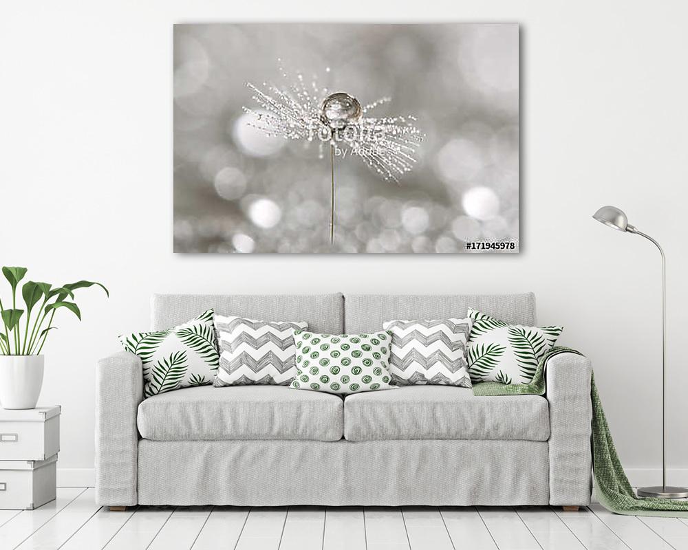 A drop of dew on a dandelion. Macro of dandelion art work. (vászonkép) - vászonkép, falikép otthonra és irodába