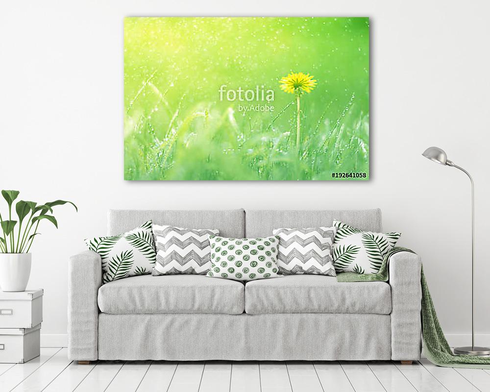 Delicate natural background with dandelion in the rain. Soft foc - vászonkép, falikép vásárlás Delicate natural background with dandelion in the rain. Soft foc (vászonkép) - vászonkép, falikép otthonra és irodába