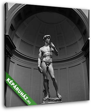 Michelangelo David szobor - vászonkép 3D látványterv