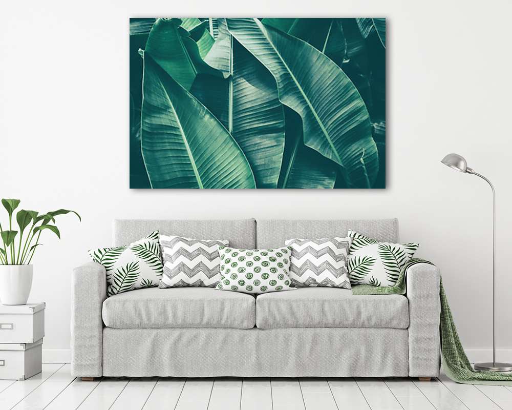 Banánfa-levelek fotó (fotótapéta) - vászonkép, falikép otthonra és irodába