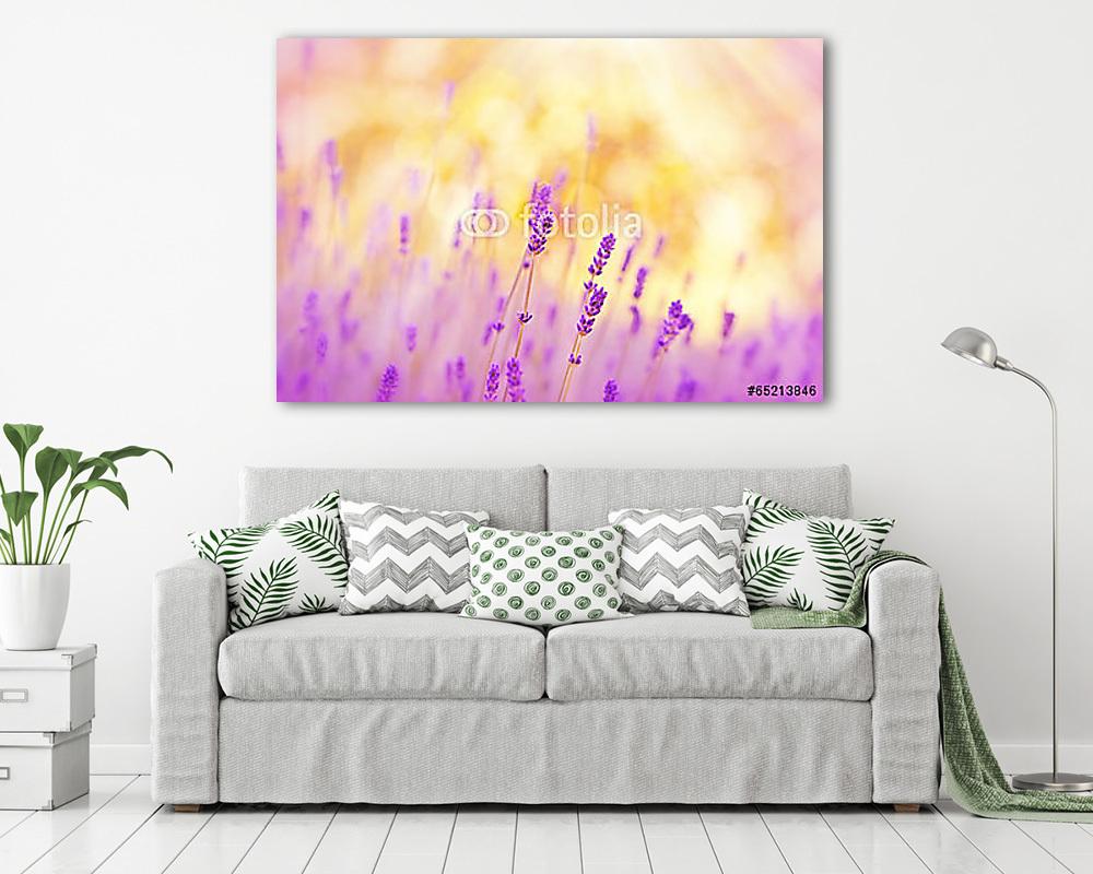 Lágy fókusz a levendulával, amelyet napfény világít (bögre) - vászonkép, falikép otthonra és irodába