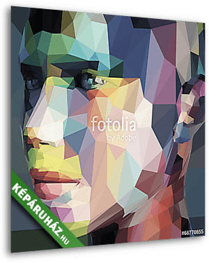 Absztrakt portré, háromszögből készült - vászonkép 3D látványterv