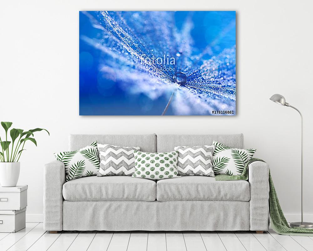 A drop on a beautiful dandelion in the form of a fan. Beautiful  - vászonkép, falikép vásárlás A drop on a beautiful dandelion in the form of a fan. Beautiful  (vászonkép) - vászonkép, falikép otthonra és irodába