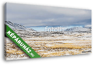Winter Dovrefjell - vászonkép 3D látványterv