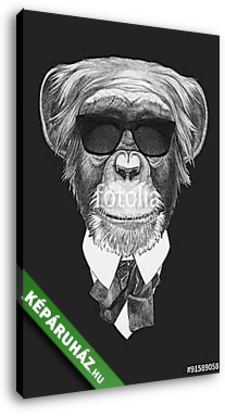 Portrait of Monkey in suit. Hand drawn illustration. - vászonkép 3D látványterv