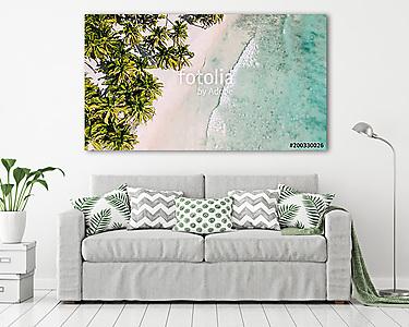 Beach with beautiful coastline. Palm trees (vászonkép) - vászonkép, falikép otthonra és irodába