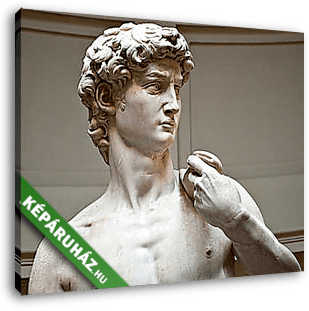 Michelangelo David szobor - vászonkép 3D látványterv