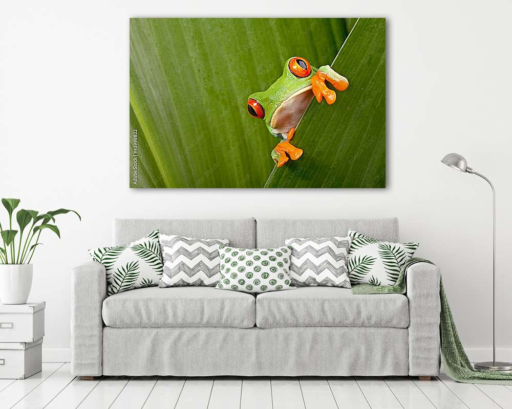 Béka kukucskál a levélből (többrészes kép) - vászonkép, falikép otthonra és irodába