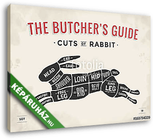 Cut of meat set. Poster Butcher diagram, scheme - Rabbit. Vintag - vászonkép 3D látványterv