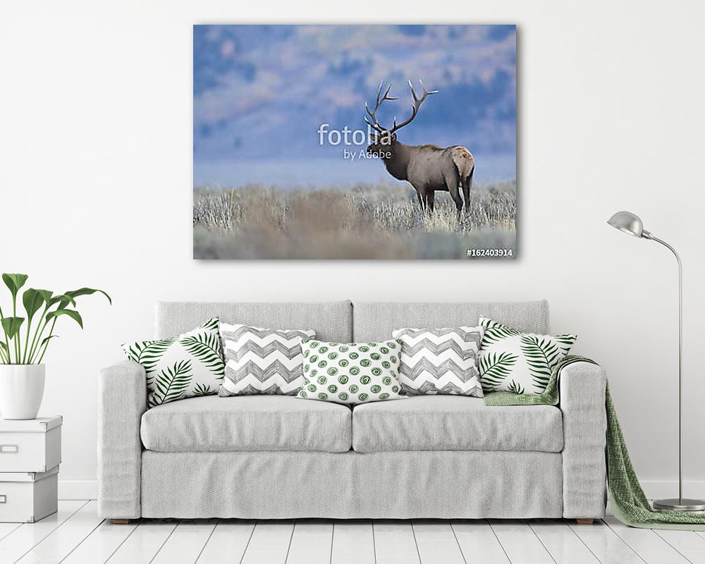 BULL ELK IN SAGEBRUSH MEADOW STOCK IMAGE (többrészes kép) - vászonkép, falikép otthonra és irodába