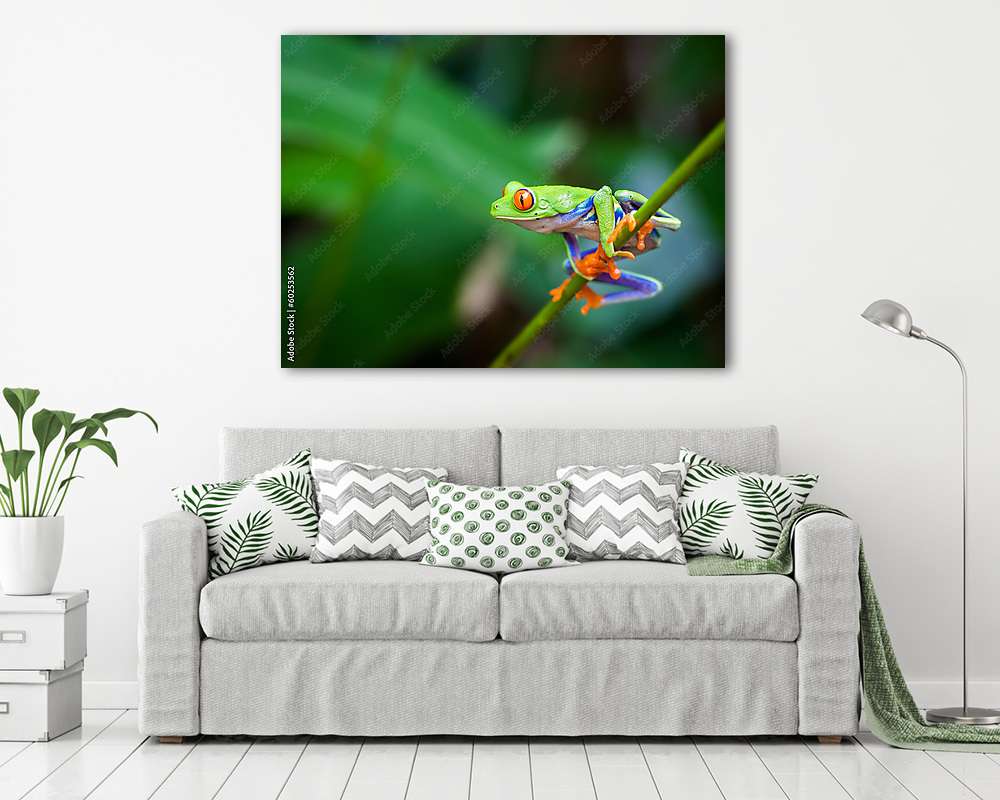 Béka a levél szárán (vászonkép) - vászonkép, falikép otthonra és irodába