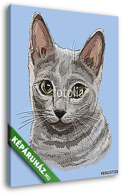 Orosz kék cica (akvarell) - vászonkép 3D látványterv