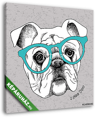Image the portrait of a bulldog in the glasses. Vector illustrat - vászonkép 3D látványterv
