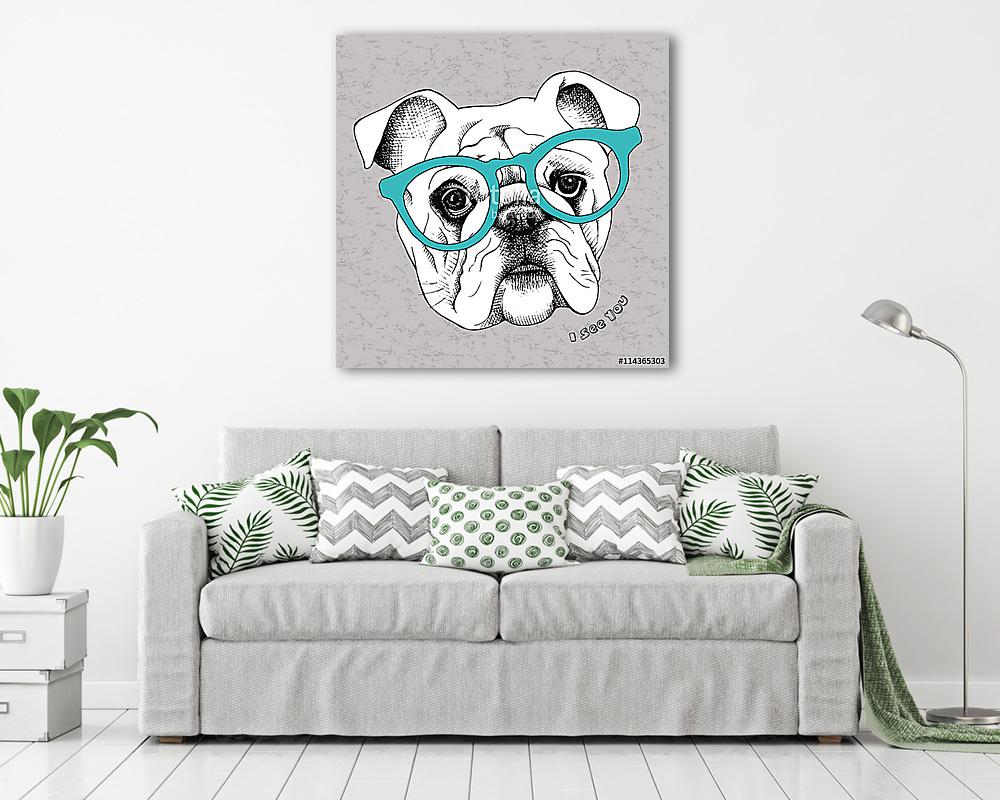 Image the portrait of a bulldog in the glasses. Vector illustrat (keretezett kép) - vászonkép, falikép otthonra és irodába